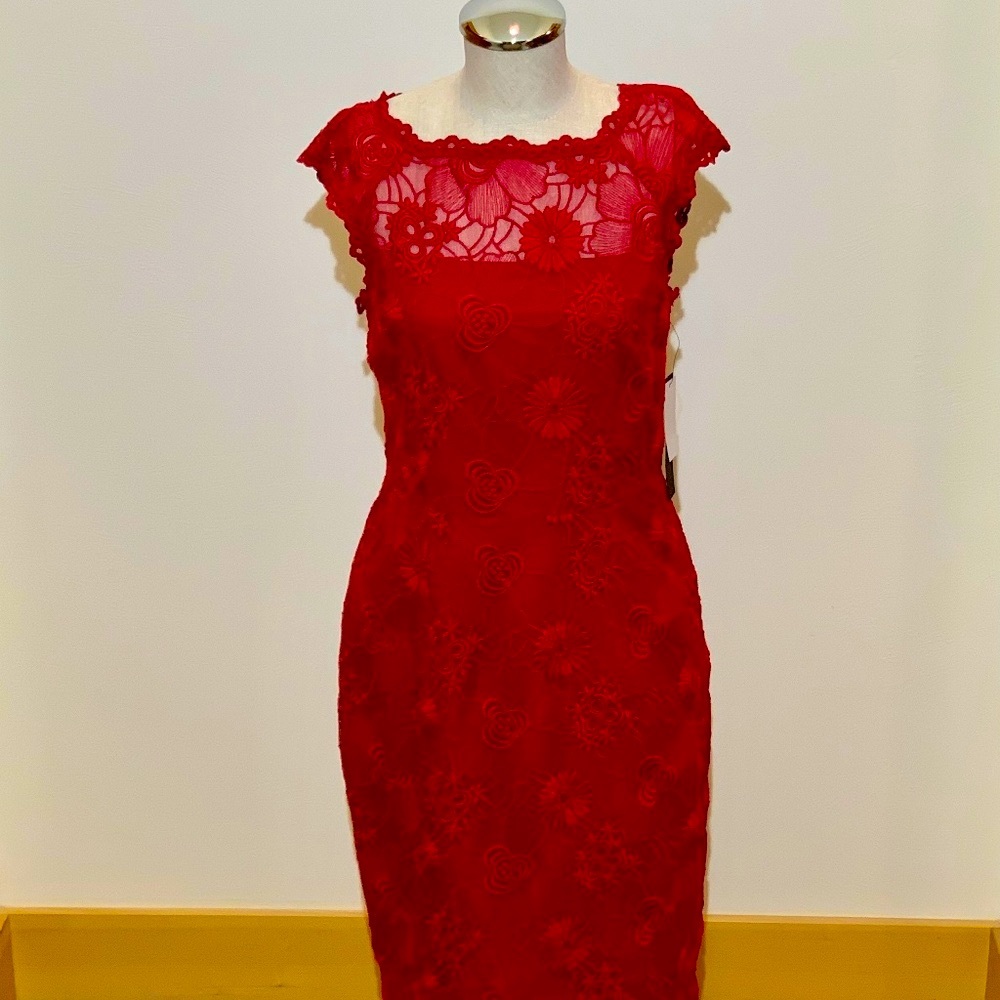 🔥NWT🔥 Cynthia Steffé "Ruby" Dress - Size 6✨✨✨ - Picture 2 of 16